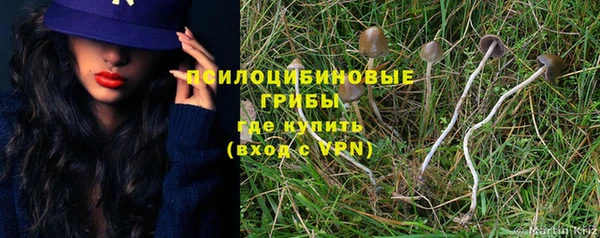 хмурый Богородск