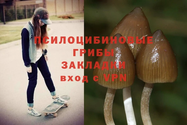 синтетический гашиш Богданович