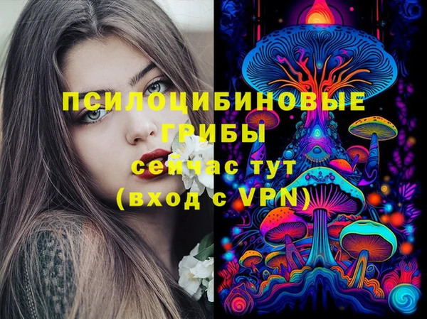 хмурый Богородск